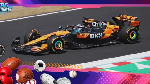 国家粮油信息中心召开玉米市场走势研讨会