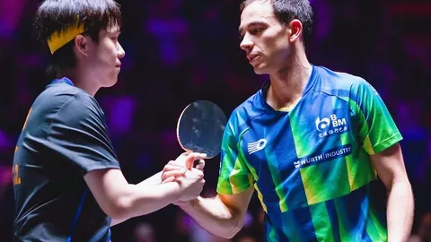 欧联杯关键伤停分析：专家解读大乐透期号推荐策略